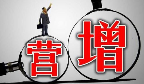 个人独资企业核定征收在软件开发行业的减税优势与实施路径